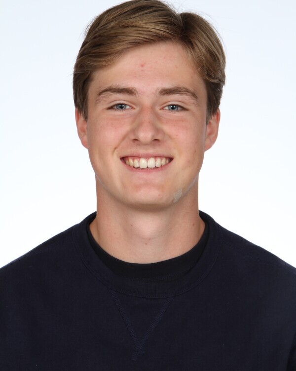 Willem Marie Matthieu Veekens